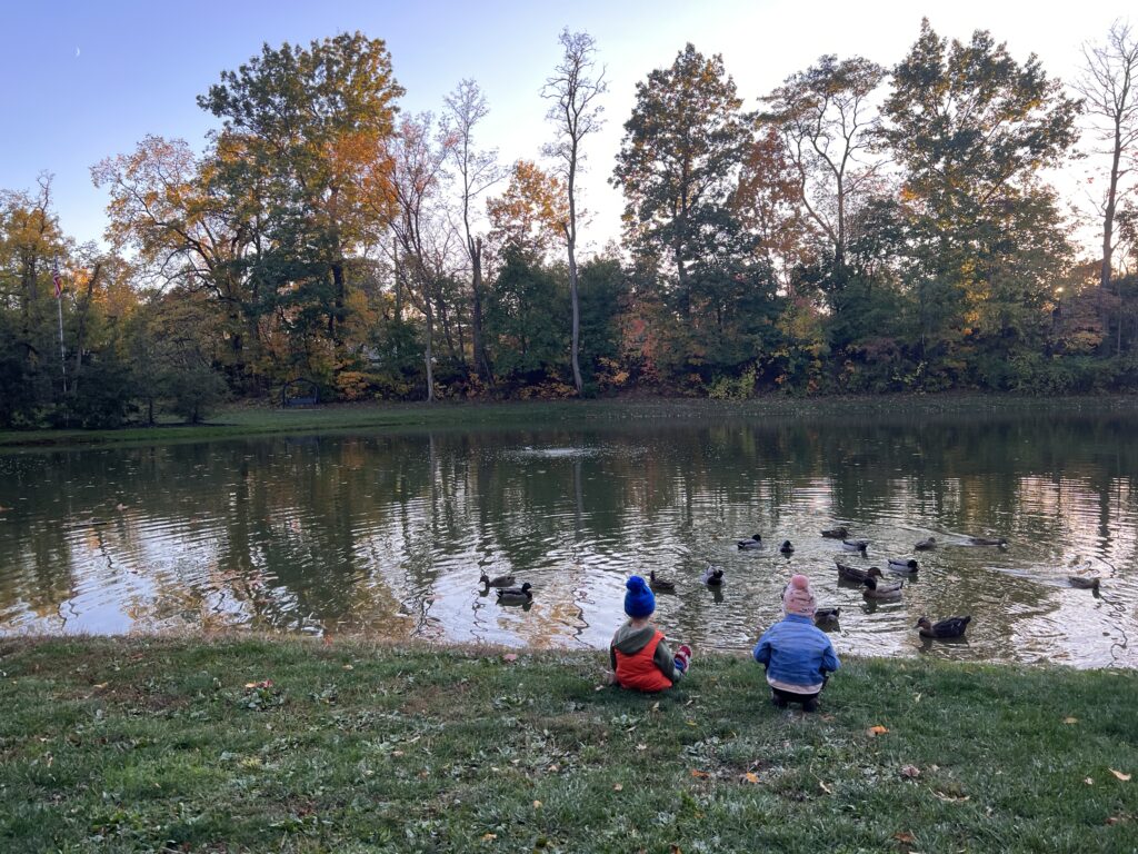 Two children sit by the edge of a pond where ducks frolick on a cool fall day. 